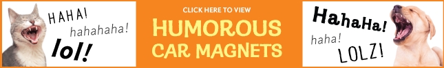 Humor Magnets
