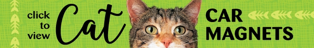 Cat Magnetds