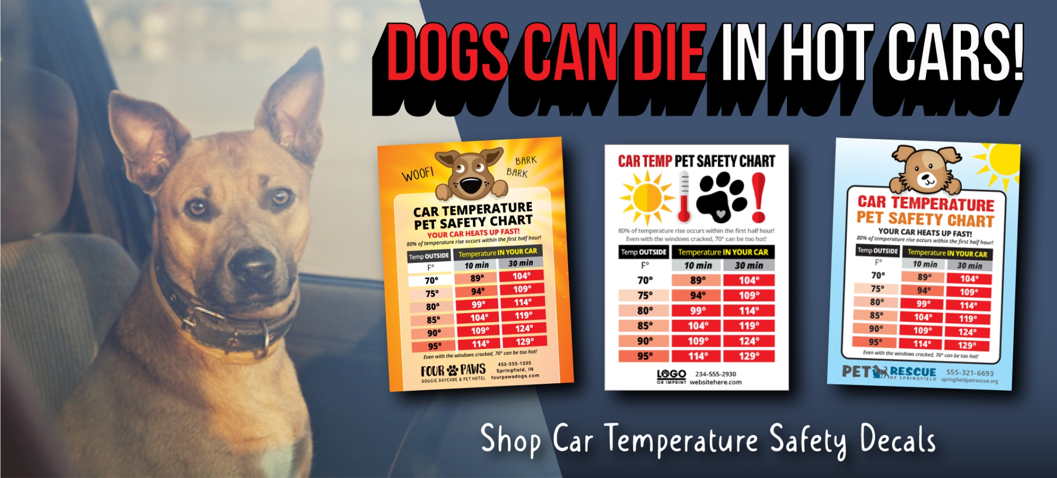 Pet Temperature Sticker