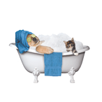 Spa Dog and Kitty (blue) thumbnail
