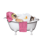 Spa Dog and Kitty (pink) thumbnail