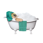Spa Dog in Tub (teal) thumbnail
