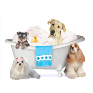 Dogs Tub (blue) thumbnail