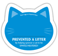 Cat - Blue thumbnail
