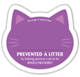 Cat - Purple thumbnail