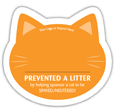 Cat - Orange thumbnail