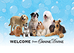 Group With Bubbles Card thumbnail