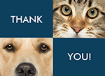Cat and Dog Card thumbnail