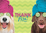 Large Spa Dogs Card thumbnail