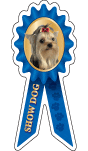 Yorkie Show Dog thumbnail