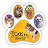 Cats thumbnail