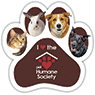 Animals in Pads thumbnail
