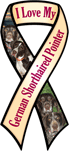 German Shorthaired Pointer thumbnail