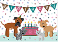 Birthday Card thumbnail