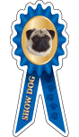 Pug Show Dog thumbnail