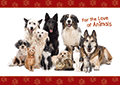 For The Love of Animals thumbnail