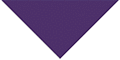 Dark Purple thumbnail