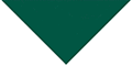 Forest Green thumbnail