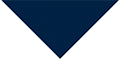 Navy thumbnail