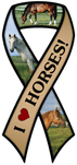 Horses thumbnail