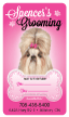 Shih Tzu thumbnail