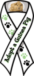Guinea Pig - Adopt A thumbnail