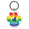 Rainbow thumbnail