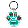 Dachshunds thumbnail