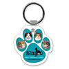 Cats  thumbnail
