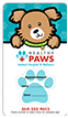 Cute Doggie  thumbnail