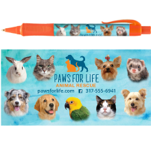 Animals Heads thumbnail