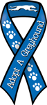 Greyhound - Adopt a thumbnail
