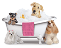 Dog in Tub thumbnail