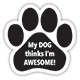 Dog Thinks I'm Awesome thumbnail