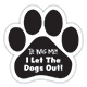 Let The Dogs Out thumbnail