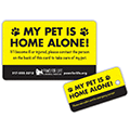 Yellow with Black Paws thumbnail