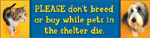 Breed or Buy Bumper 1 thumbnail