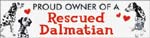 Rescued Dalmatian thumbnail