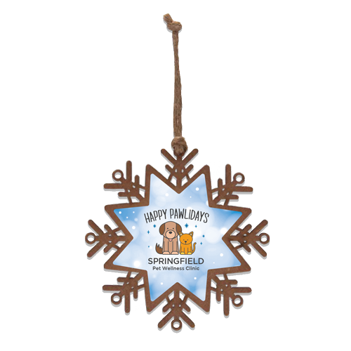 Snowflake thumbnail