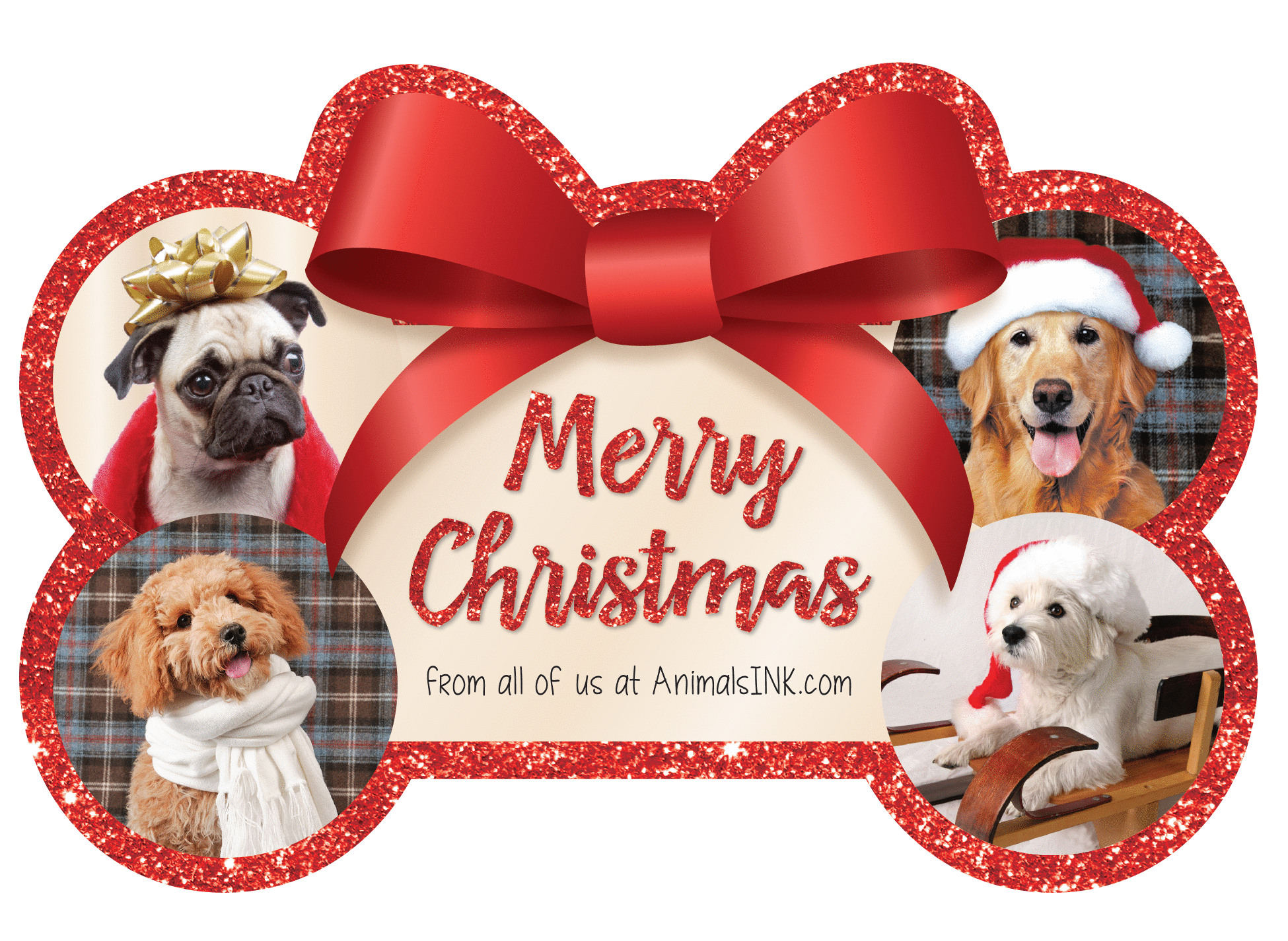 Bow with Bone (Holiday) thumbnail
