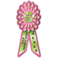 Pink and Lime Green thumbnail