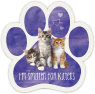 Smitten Kitten thumbnail