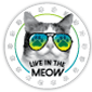 Live in the MEOW thumbnail
