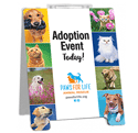 Dog and Cat Pics thumbnail