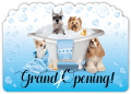 Bubble Tub thumbnail