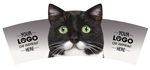 CAT (real 2) black and white thumbnail