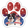 Pawd American thumbnail