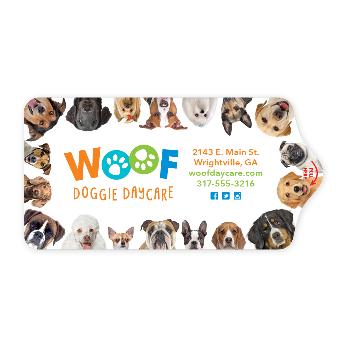 Doggie Border thumbnail