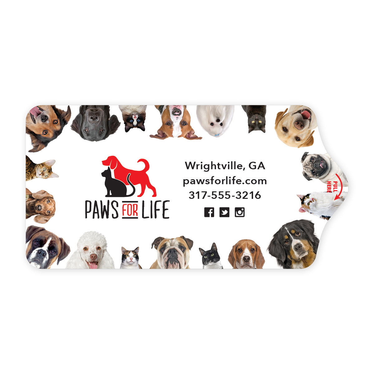 Dog and Cat Border thumbnail