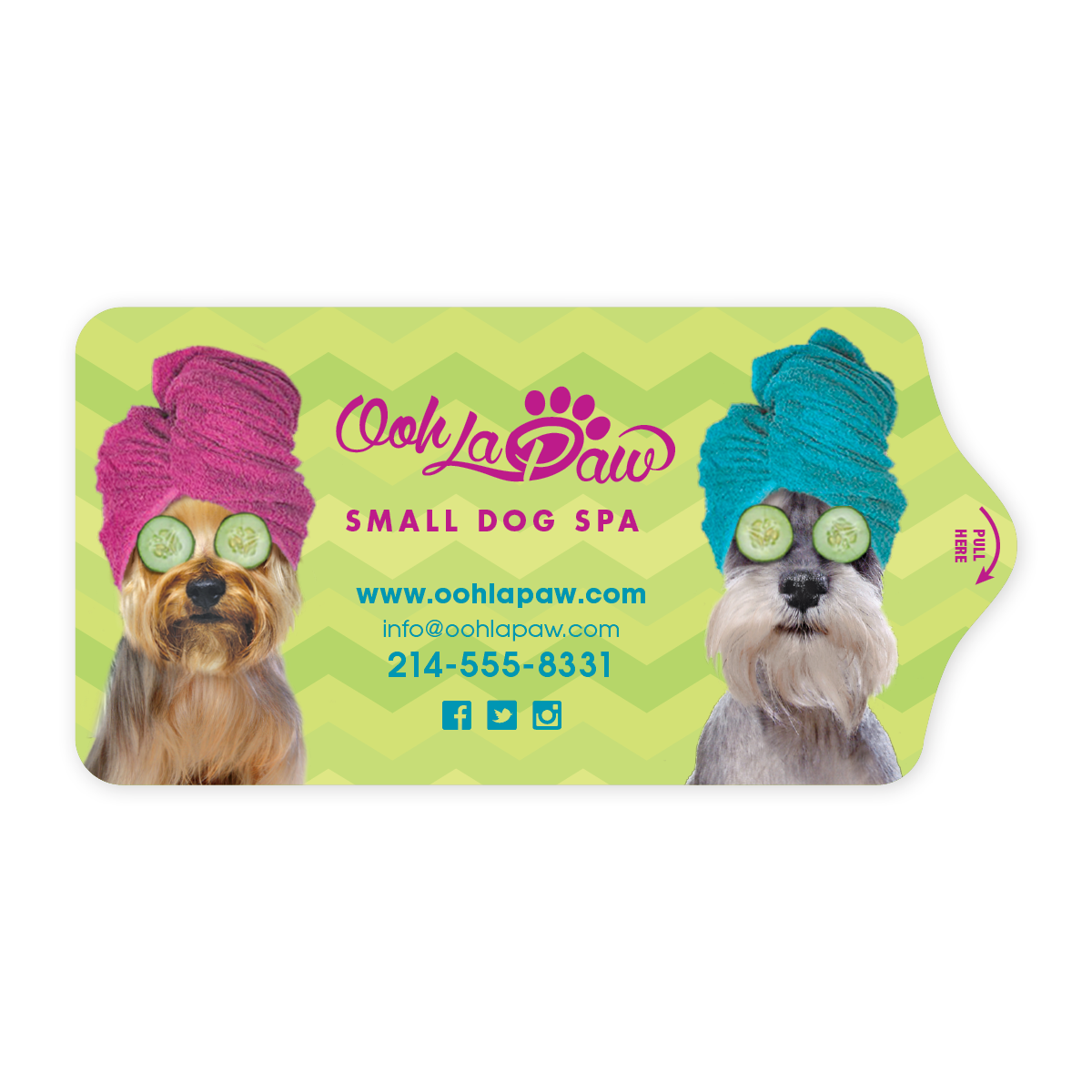 Small Spa Dogs thumbnail